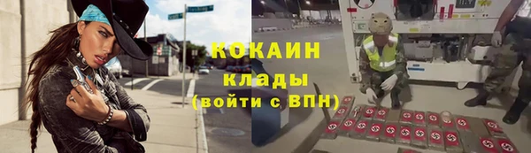соль ск Белокуриха