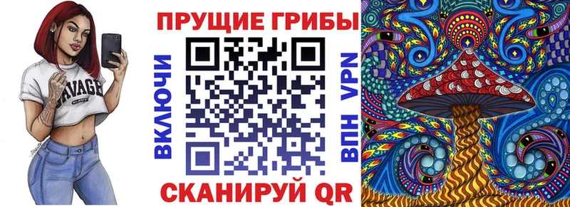 дарнет шоп  Лабинск  дарк нет формула  Псилоцибиновые грибы мухоморы 